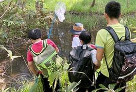 子供達が夏の公園の池で虫取りをしている画像